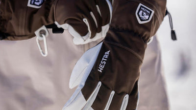 Ski Gloves