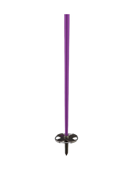 Faction Ski Poles-aussieskier.com