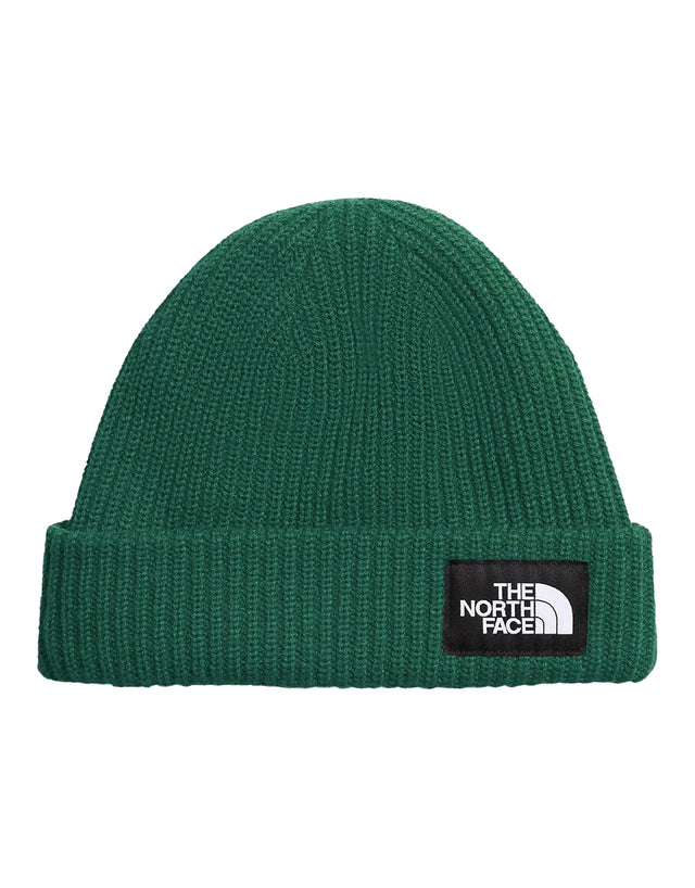 The North Face Salty Dog Beanie-Evergreen-aussieskier.com