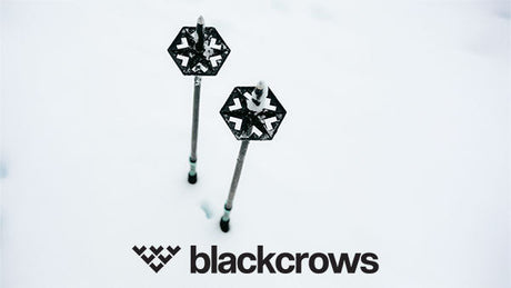 Black Crows Poles