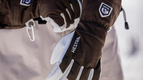 Ski Gloves