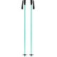 Black Crows Meta Ski Poles-110-Mint / White-aussieskier.com