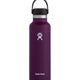 Hydro Flask Standard 21oz Insulated Drink Bottle (621ml)-Eggplant-aussieskier.com