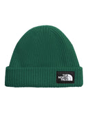 The North Face Salty Dog Beanie-Evergreen-aussieskier.com